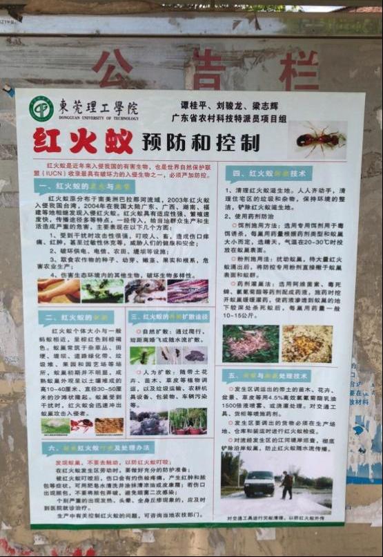 日韩无码