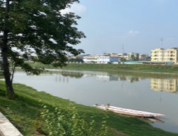 日韩无码